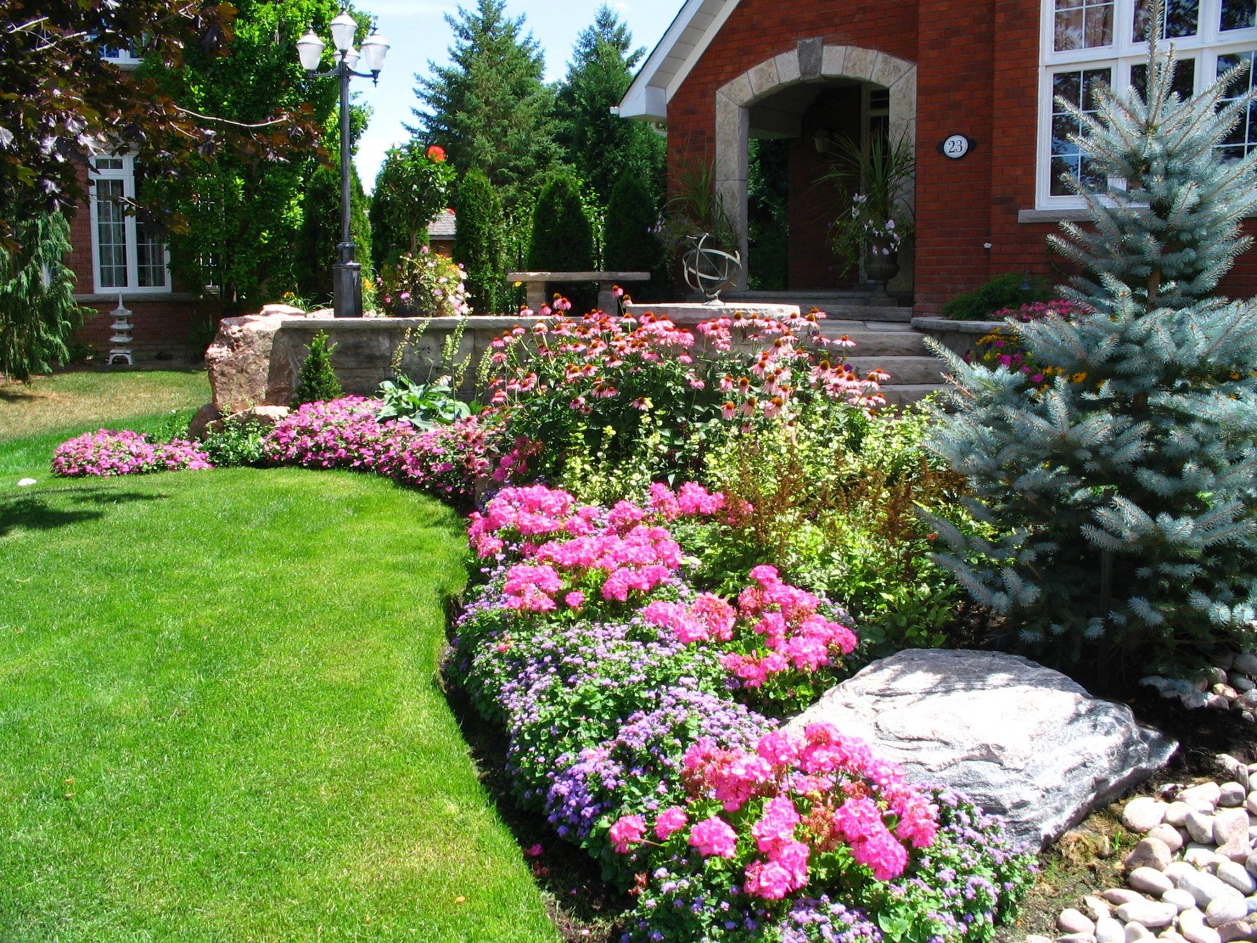 Flower-filled front garden and evergreen planting