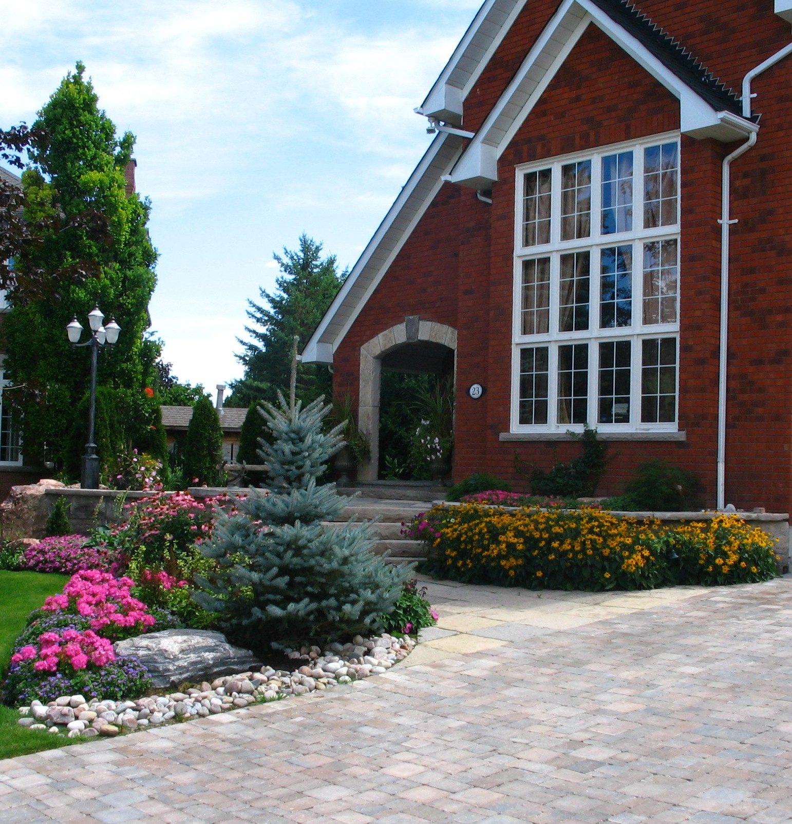 Coneflowers and perennial garden planting