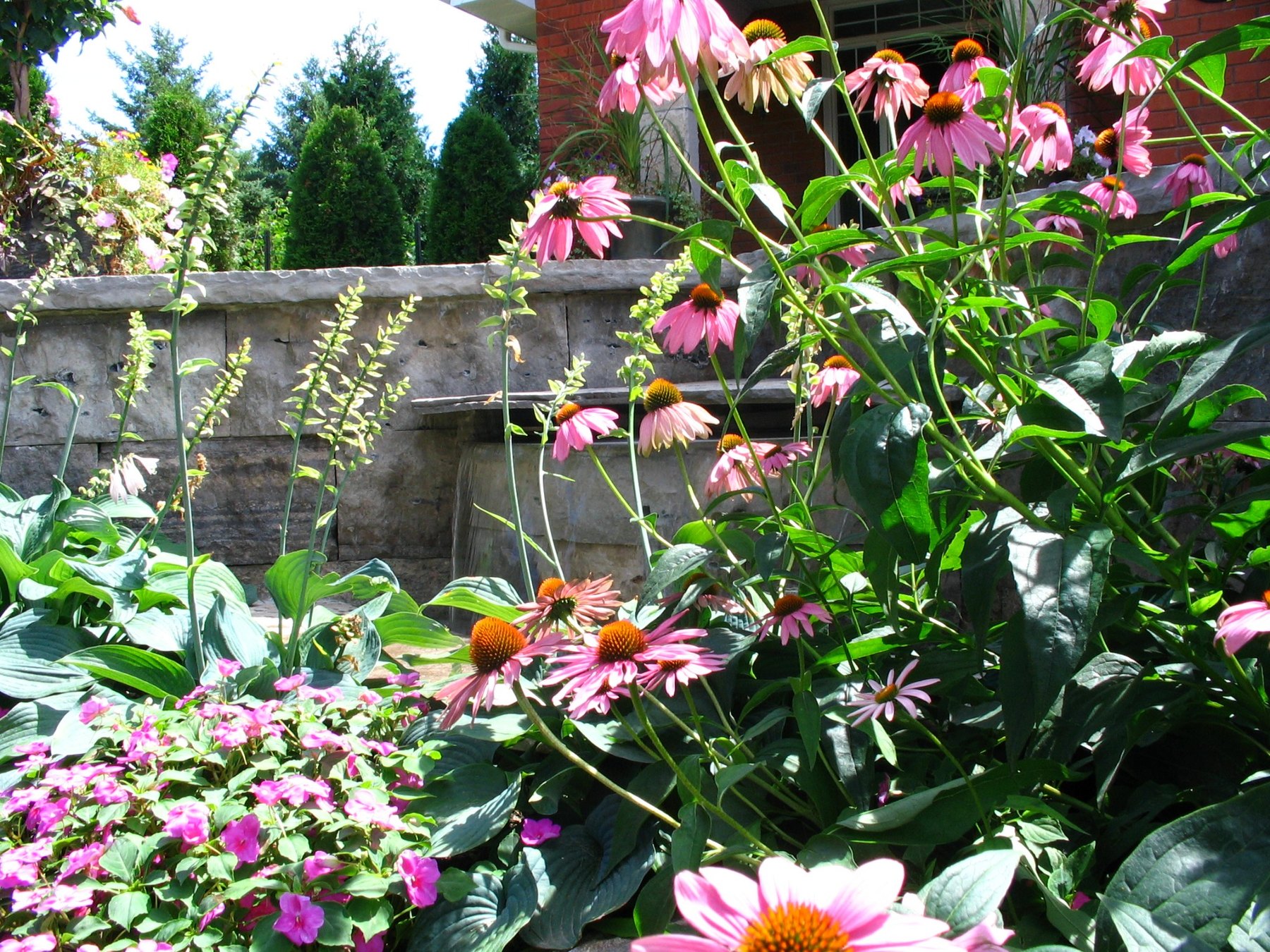 Stone patio and layered evergreen planting
