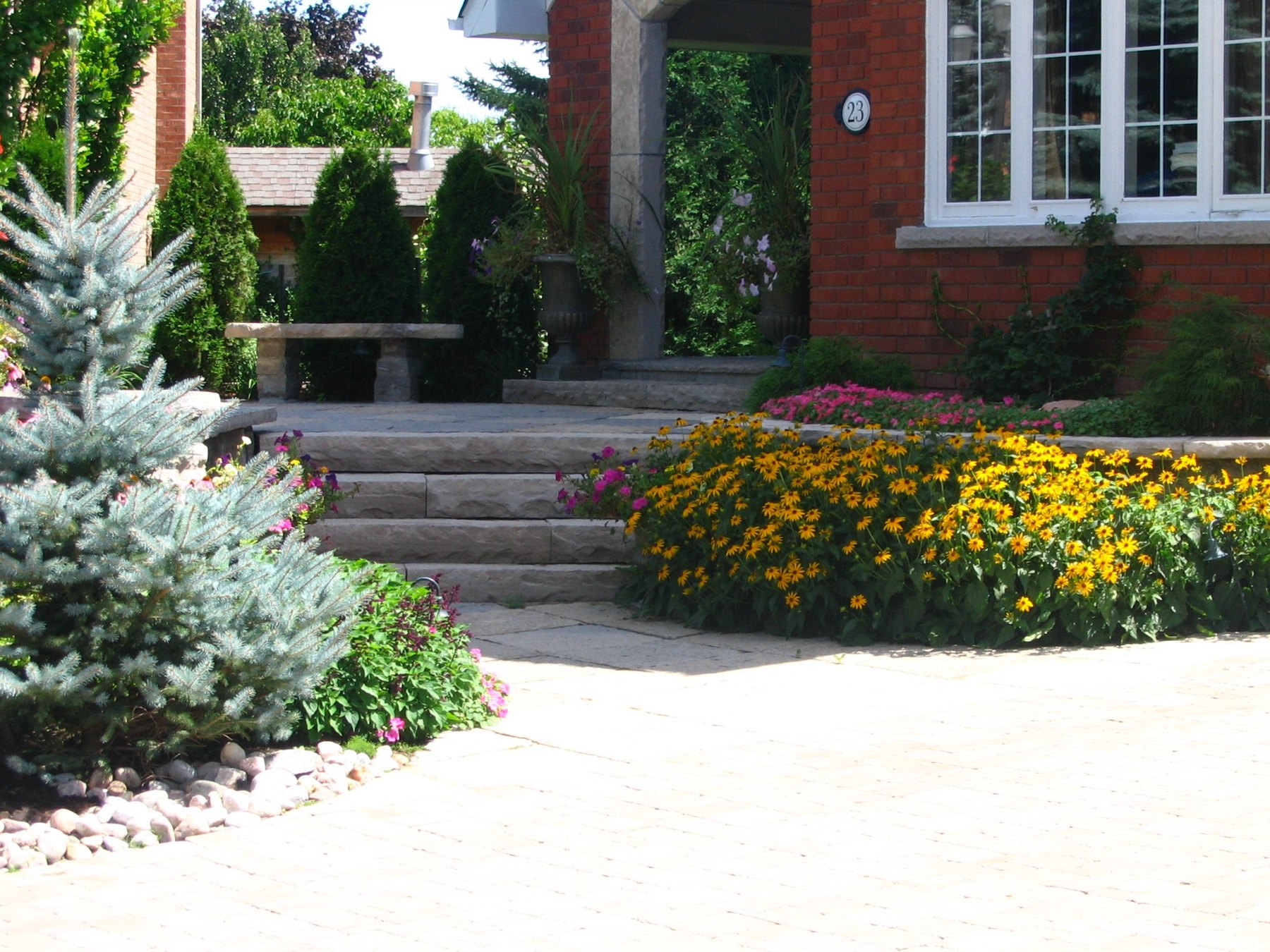 Close detail of perennial garden planting and water feature