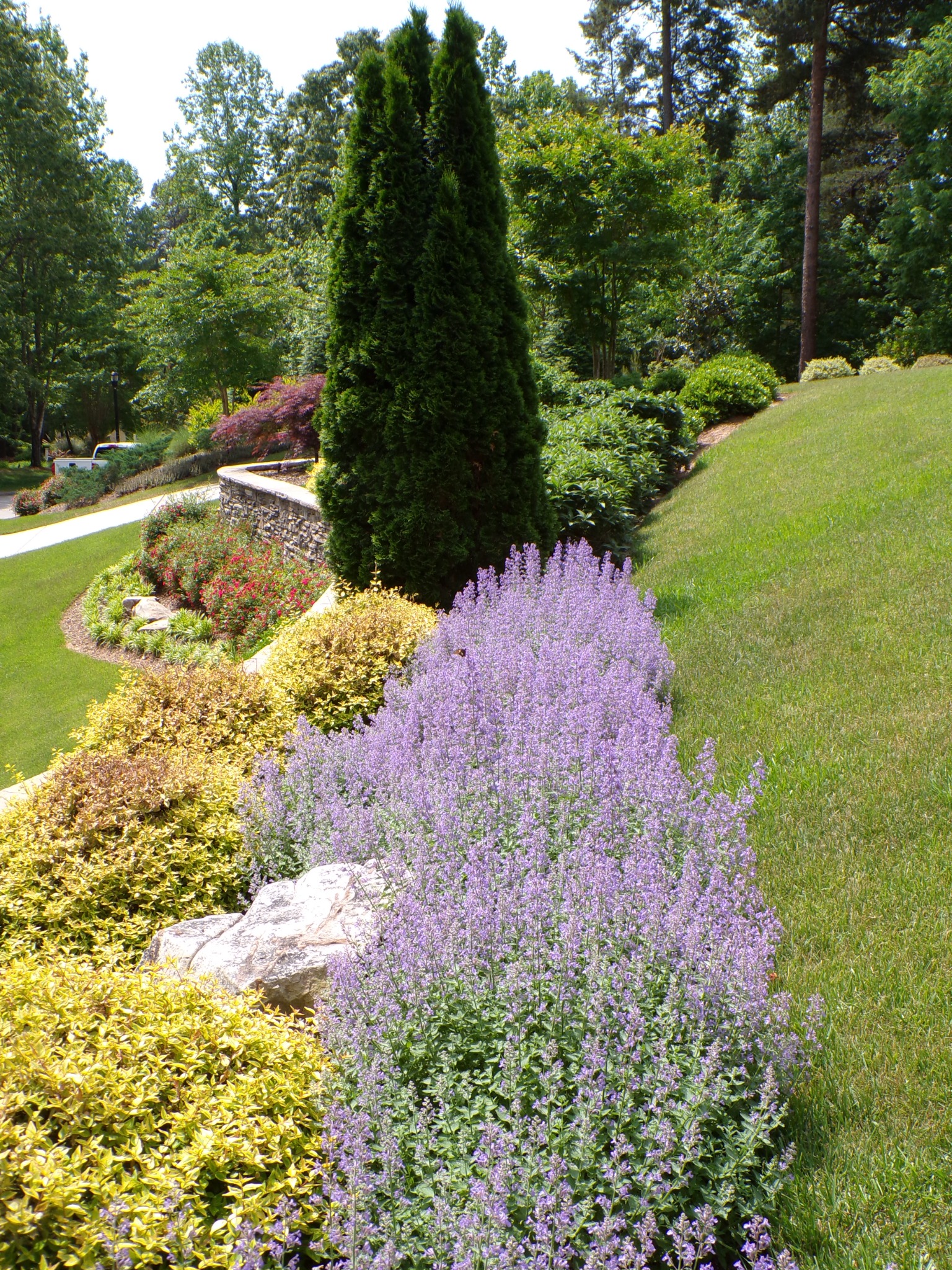 Foundation planting with ornamental trees, shrubs, and groundcover